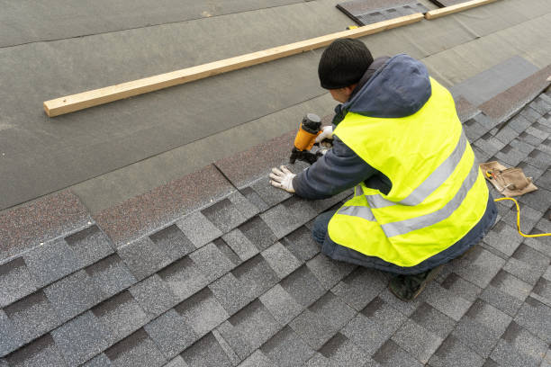 Best Roof Repair Services  in New Tazewell, TN