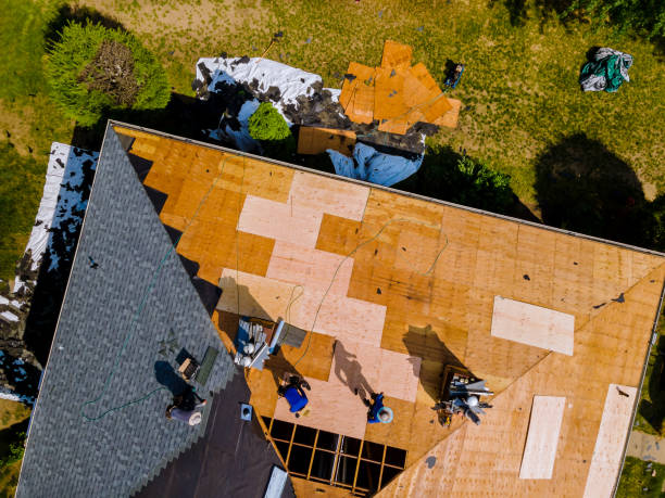 Best Gutter Installation and Roofing  in New Tazewell, TN