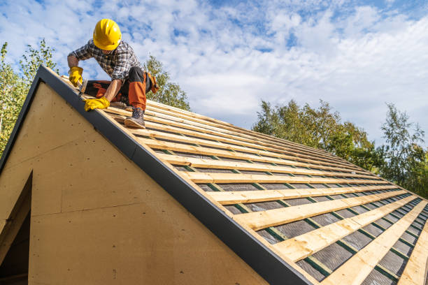 Best Roof Waterproofing Services  in New Tazewell, TN
