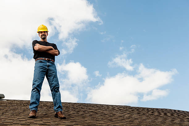 Best Roof Gutter Cleaning  in New Tazewell, TN